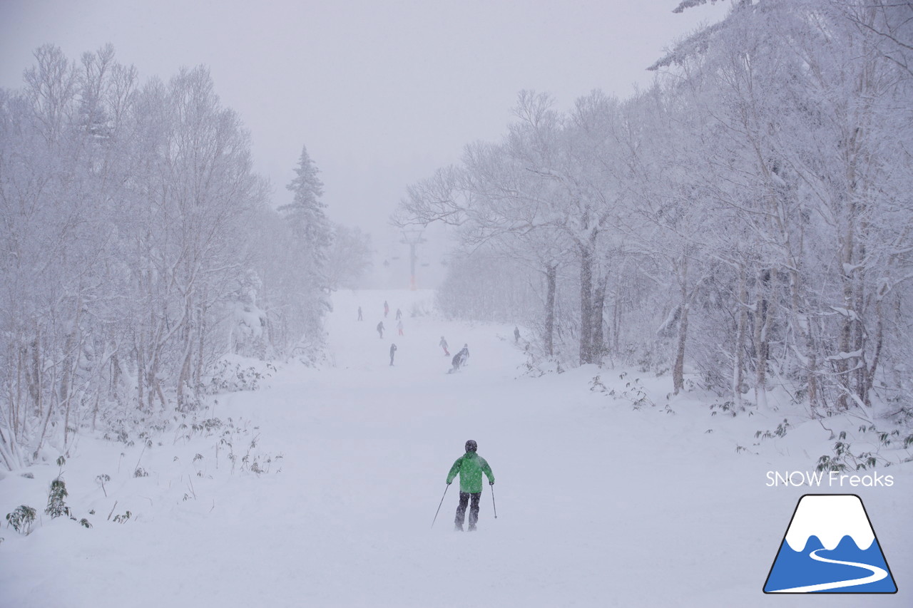 2018-2019 winter ☆パウダースノーで初滑り☆ 北海道札幌市・札幌国際スキー場